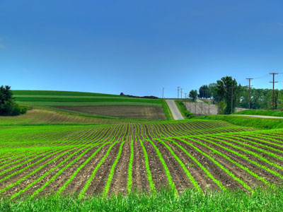 ¿Que es la agricultura ecológica?